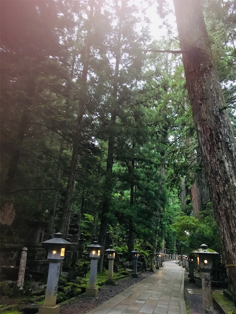 f:id:yuuki-houjyuin:20190721115145j:image f:id:yuuki-houjyuin:20190721115145j:image