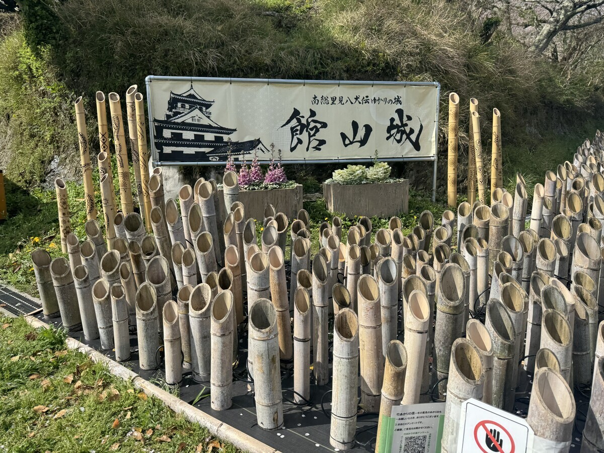 つばきファクトリーFCツアー in館山 - Flat Trees