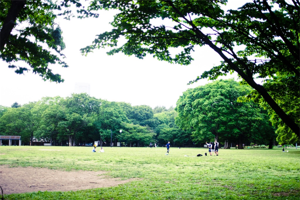f:id:yuuki167a:20190521185015j:plain