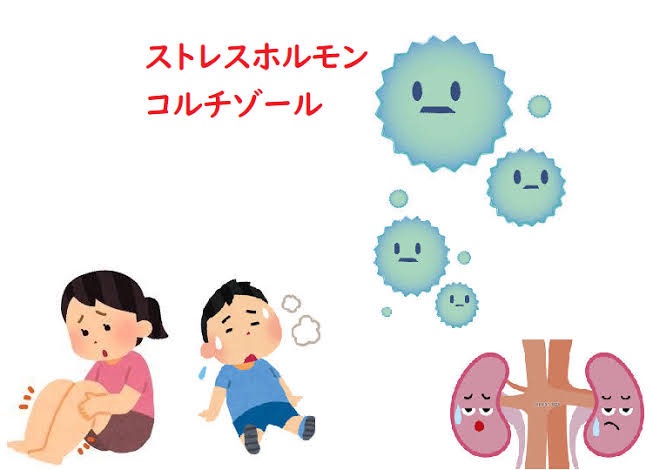 f:id:yuuki3939:20211007204622j:image f:id:yuuki3939:20211007204622j:image