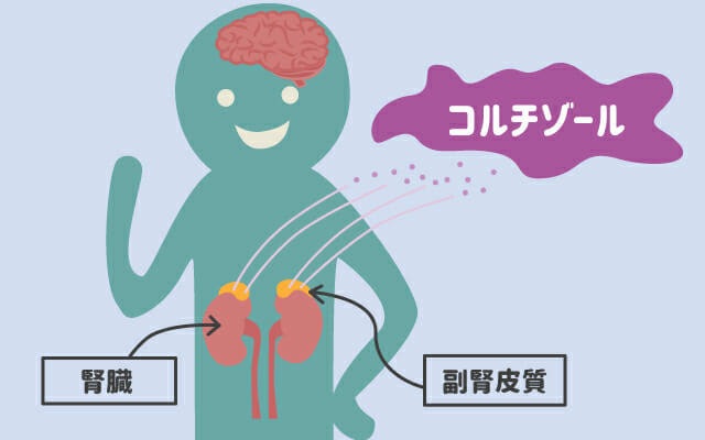 f:id:yuuki3939:20211007204637j:image f:id:yuuki3939:20211007204637j:image