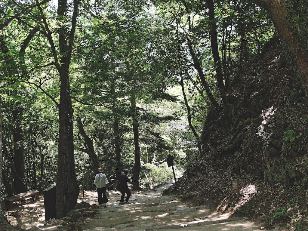 f:id:yuuki89:20190524214459j:image