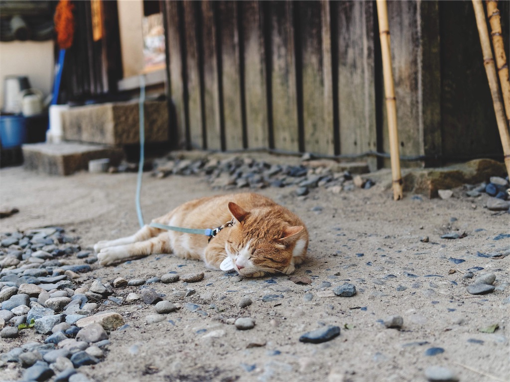 f:id:yuuki89:20190524214513j:image