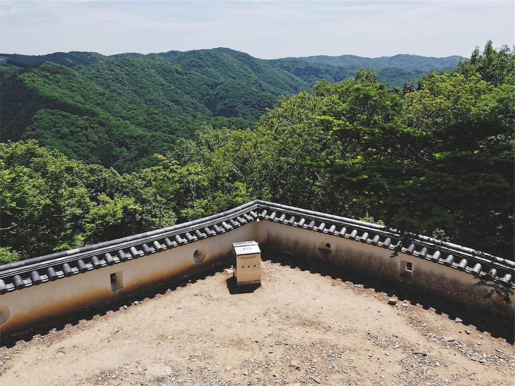 f:id:yuuki89:20190524214521j:image