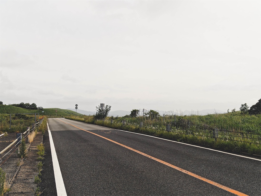 f:id:yuuki89:20190615131655j:image