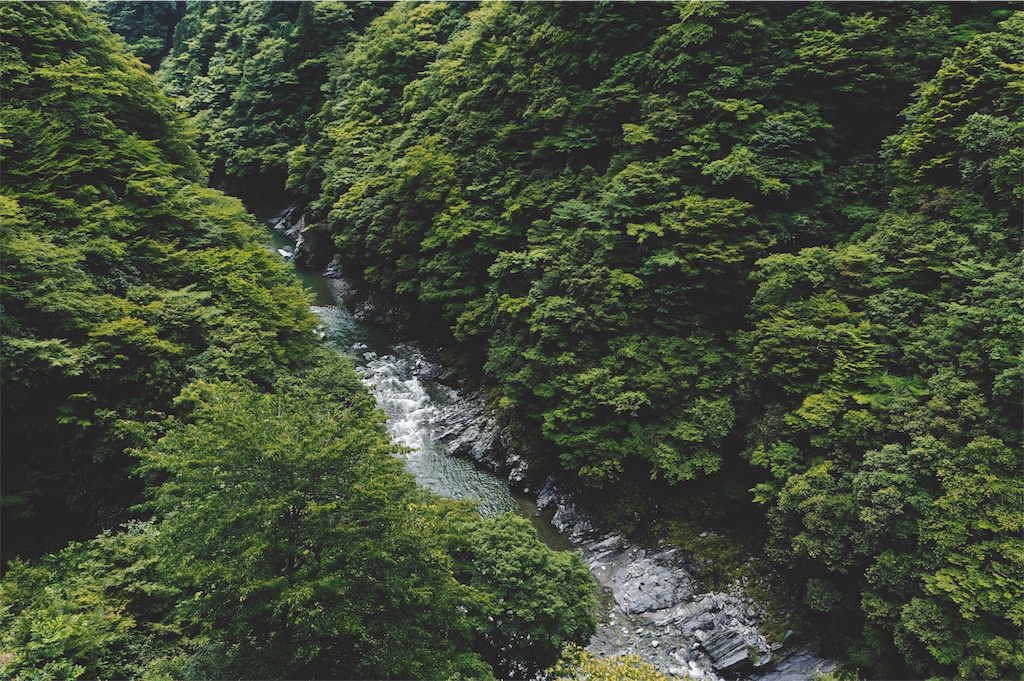 f:id:yuuki89:20190630185151j:image