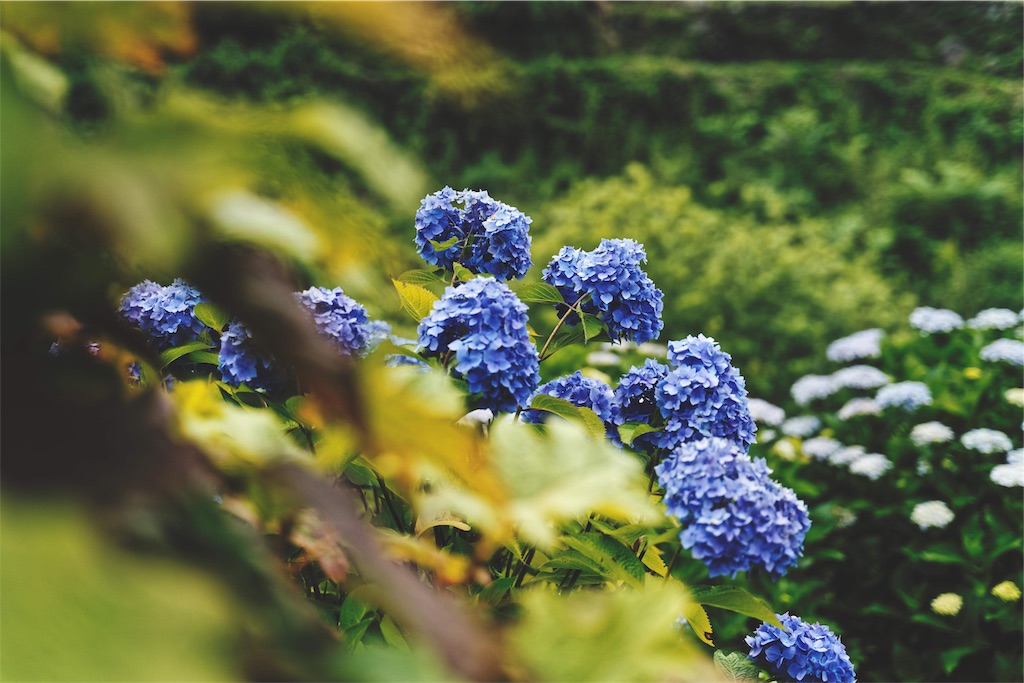 f:id:yuuki89:20190713191617j:image