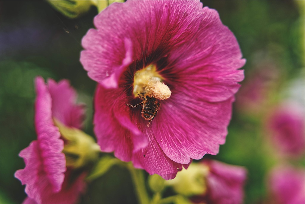 f:id:yuuki89:20190713191620j:image