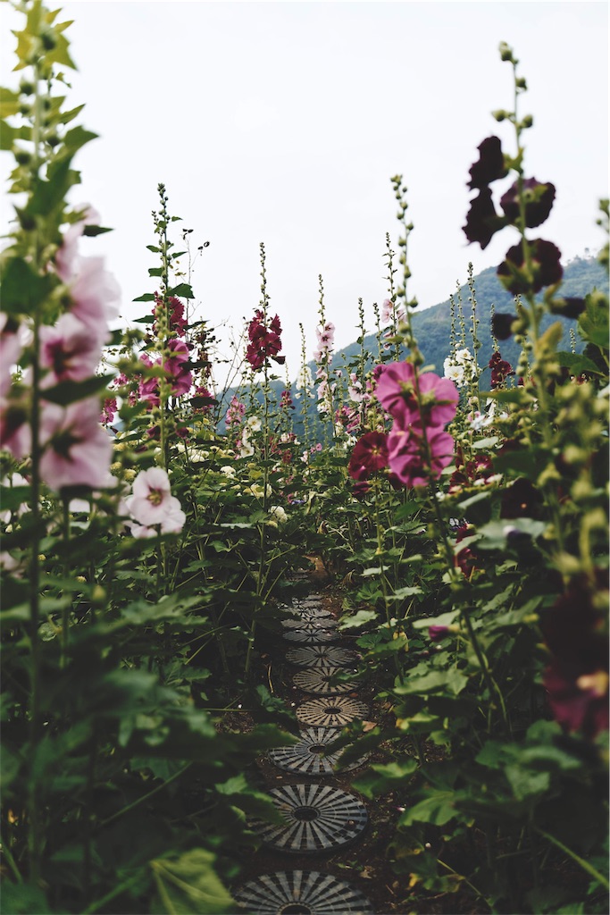 f:id:yuuki89:20190713191626j:image