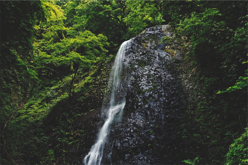 f:id:yuuki89:20190713192052j:image