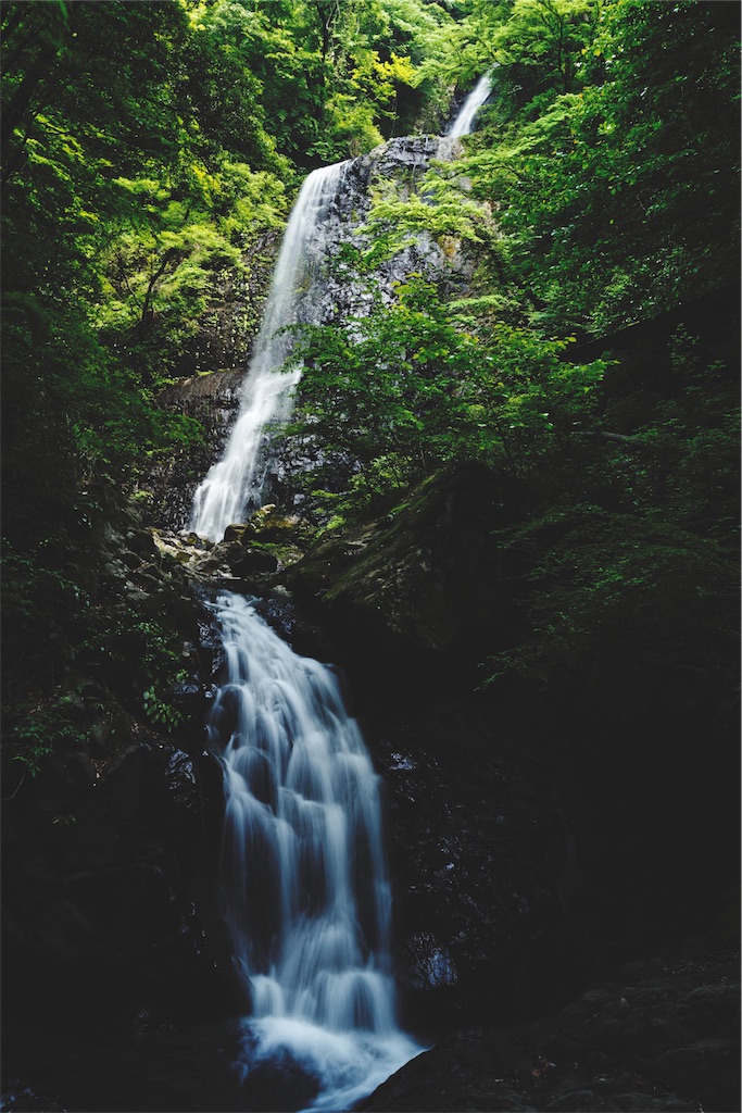 f:id:yuuki89:20190713192059j:image