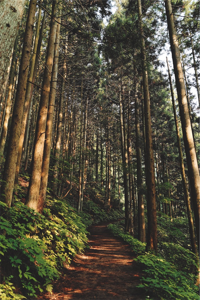 f:id:yuuki89:20190713192102j:image