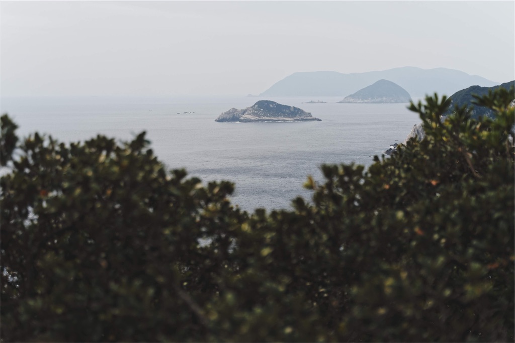 f:id:yuuki89:20191115130954j:image