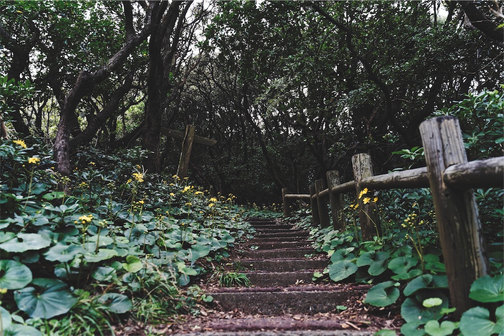 f:id:yuuki89:20191115131743j:image