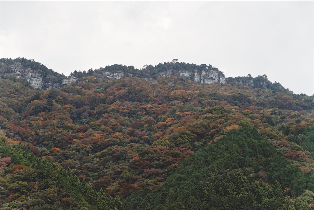 f:id:yuuki89:20191130121851j:image