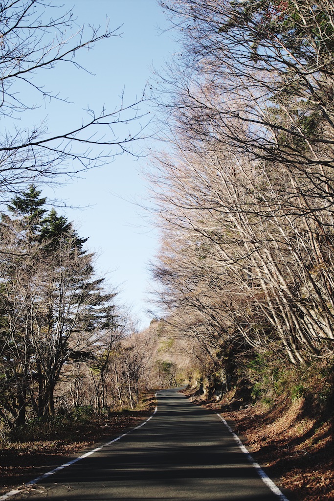 f:id:yuuki89:20201114184932j:image