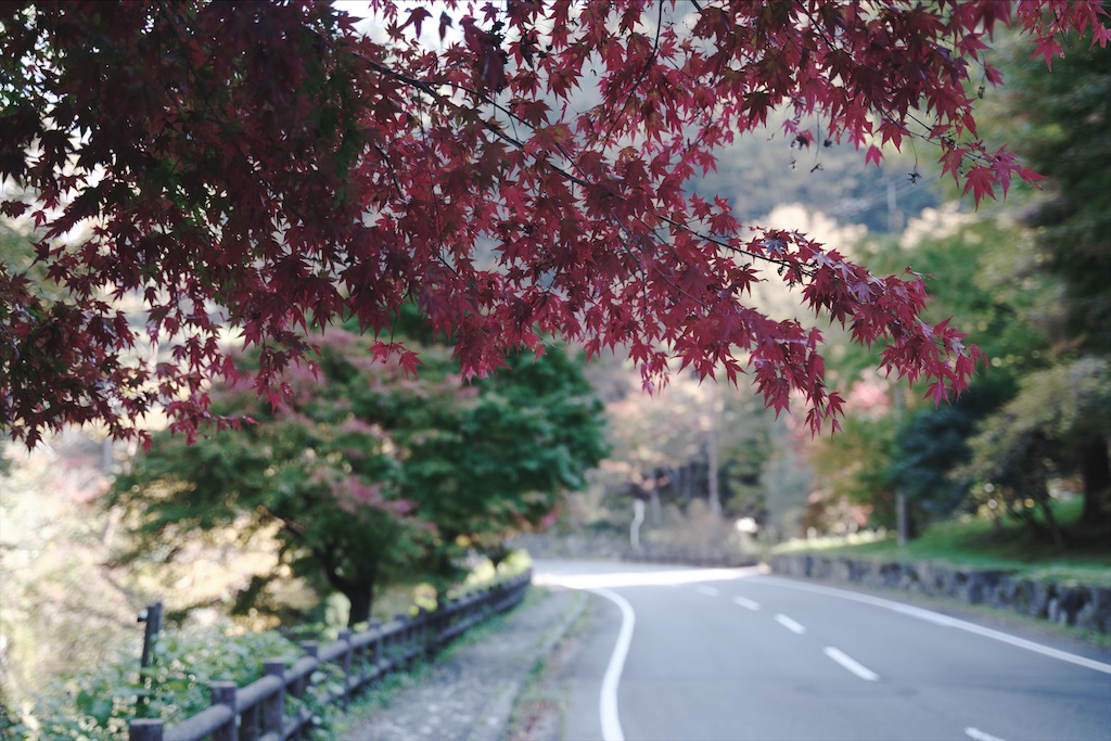 f:id:yuuki89:20201114185611j:image