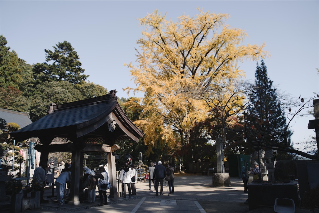 f:id:yuuki89:20201122192912j:image