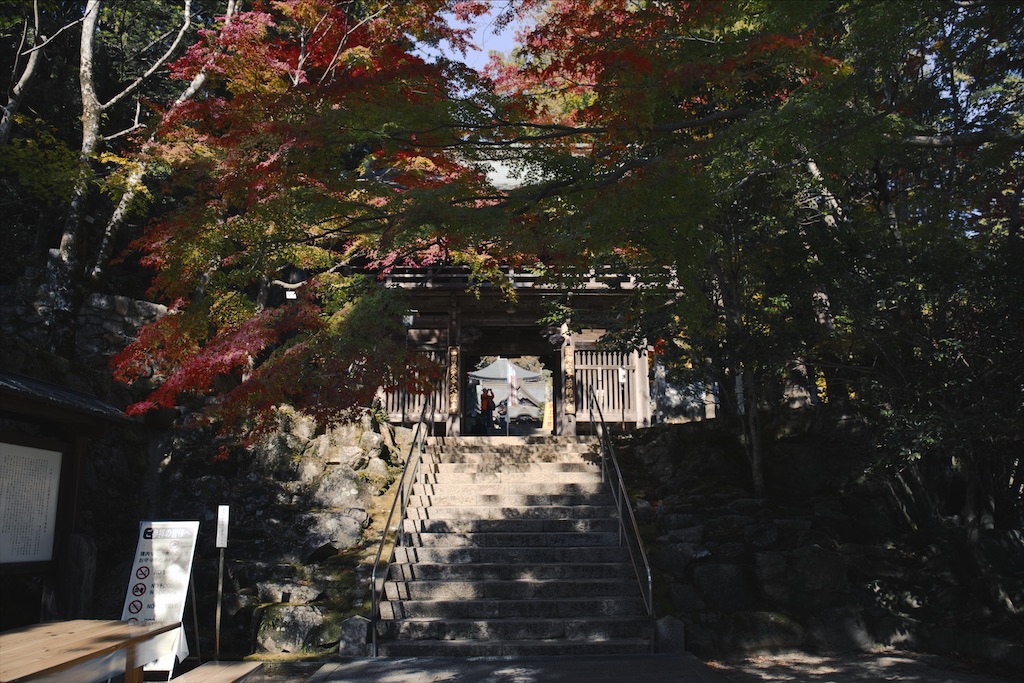 f:id:yuuki89:20201122192918j:image