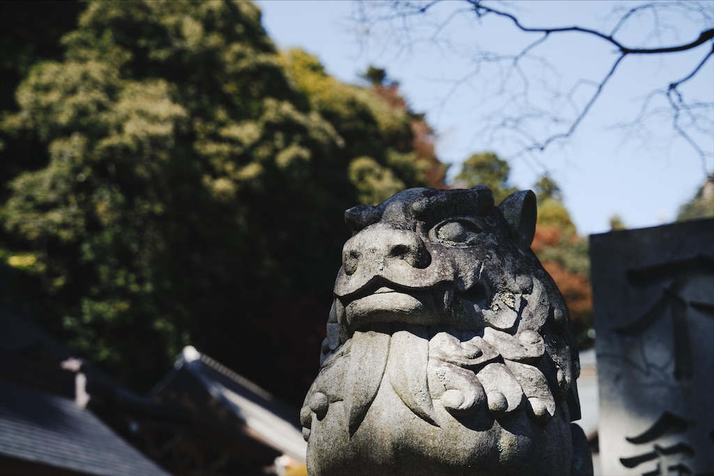 f:id:yuuki89:20201122192921j:image