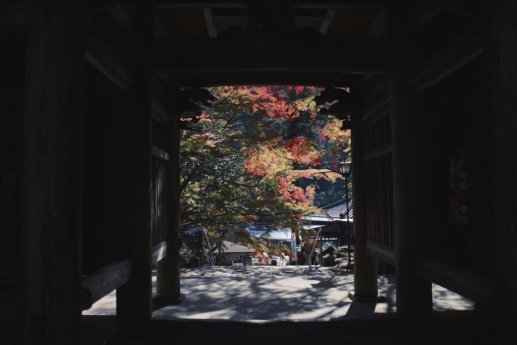 f:id:yuuki89:20201122193011j:image