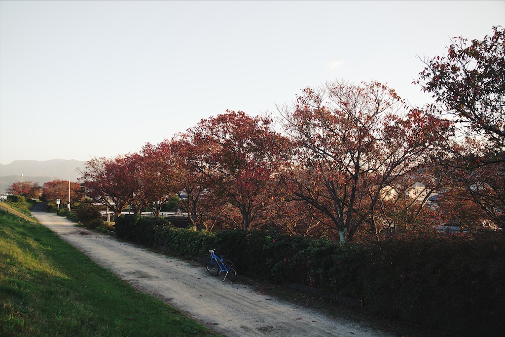f:id:yuuki89:20201129175751j:image