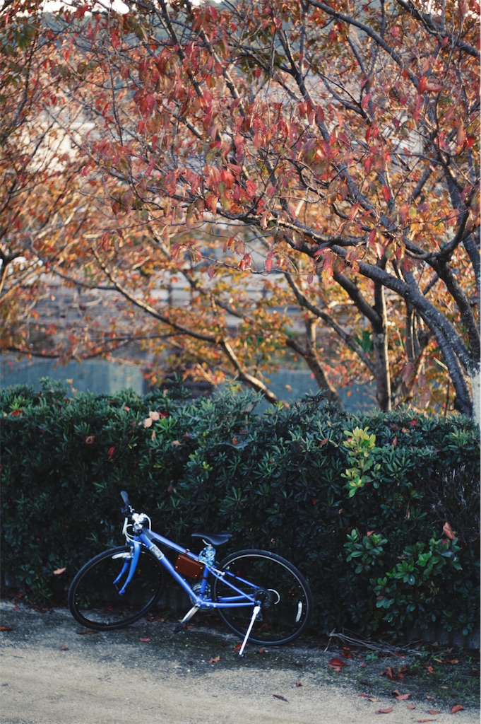 f:id:yuuki89:20201129175800j:image