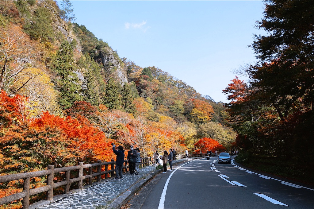 f:id:yuuki89:20221127005153j:image