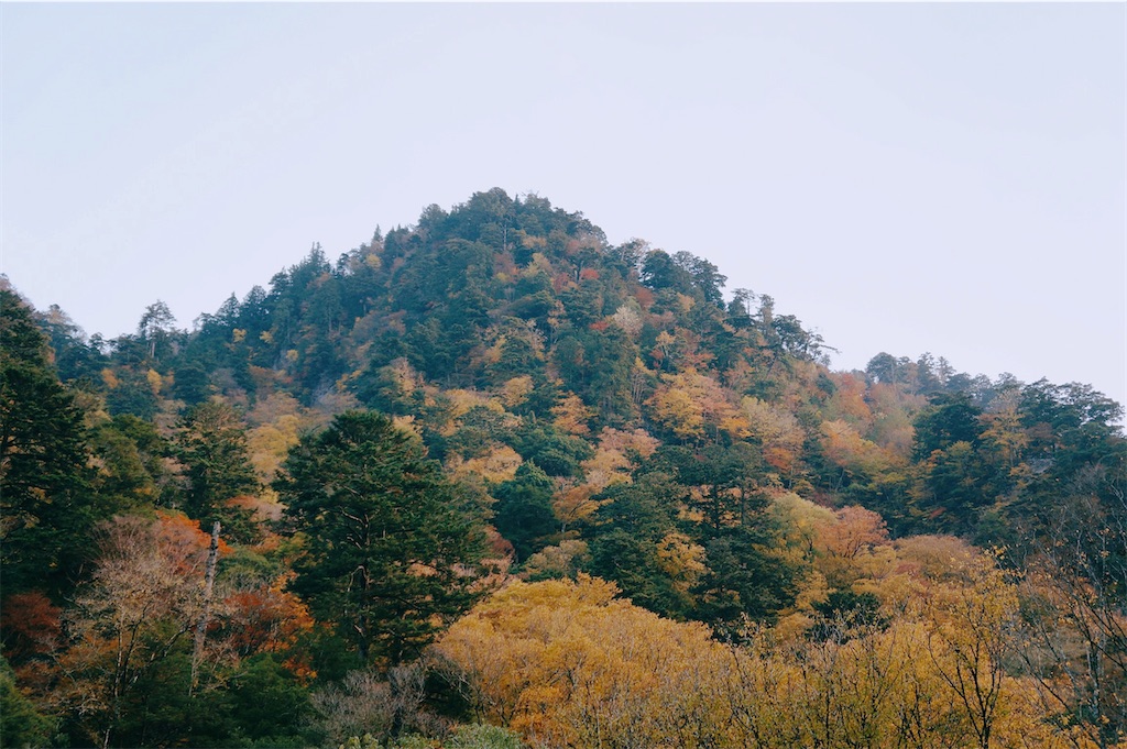 f:id:yuuki89:20221127005210j:image