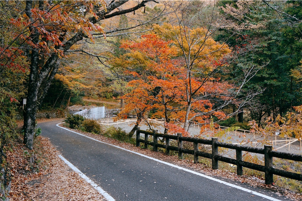 f:id:yuuki89:20221127005214j:image
