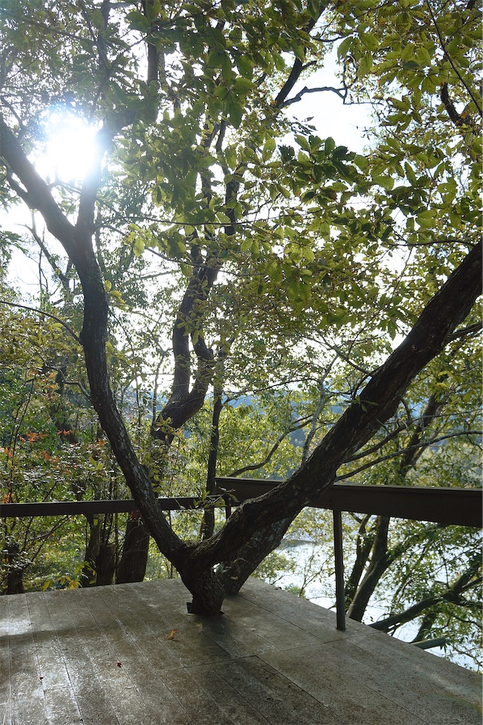 f:id:yuuki89:20221210164132j:image