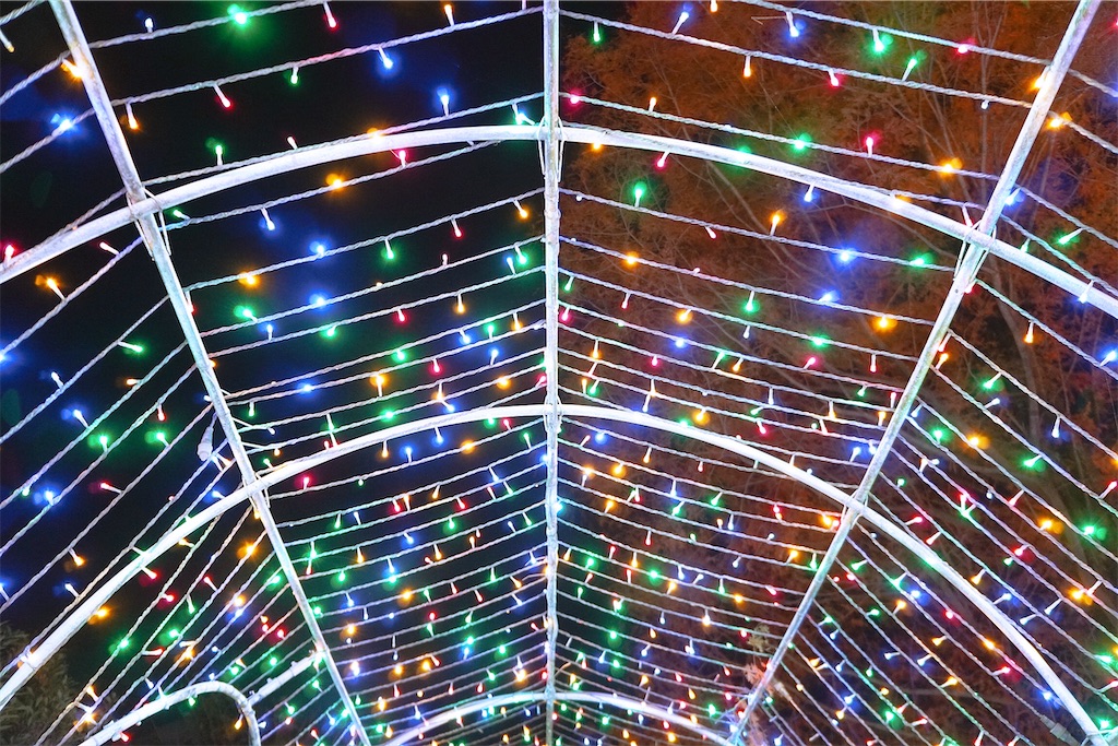 f:id:yuuki89:20230121182756j:image