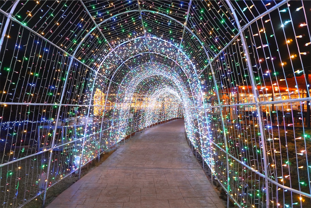 f:id:yuuki89:20230121182800j:image