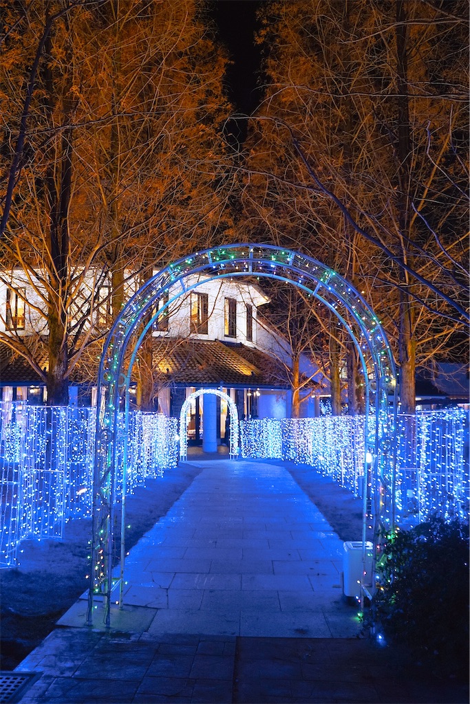 f:id:yuuki89:20230121182817j:image