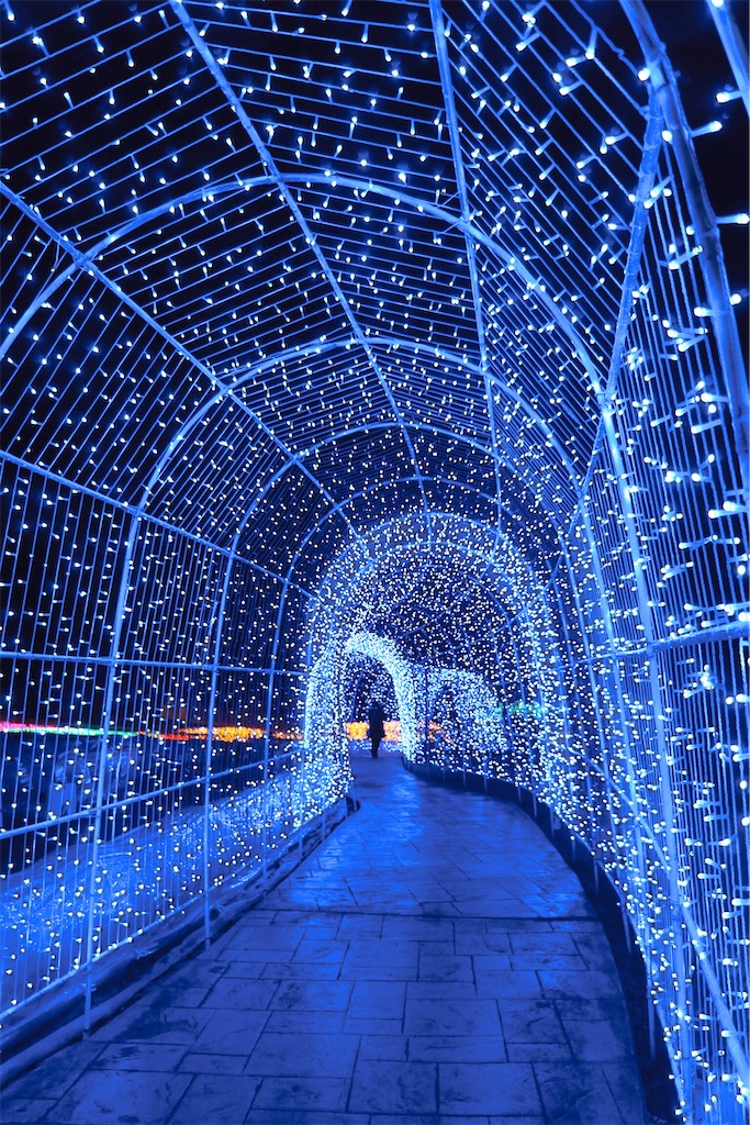 f:id:yuuki89:20230121182824j:image