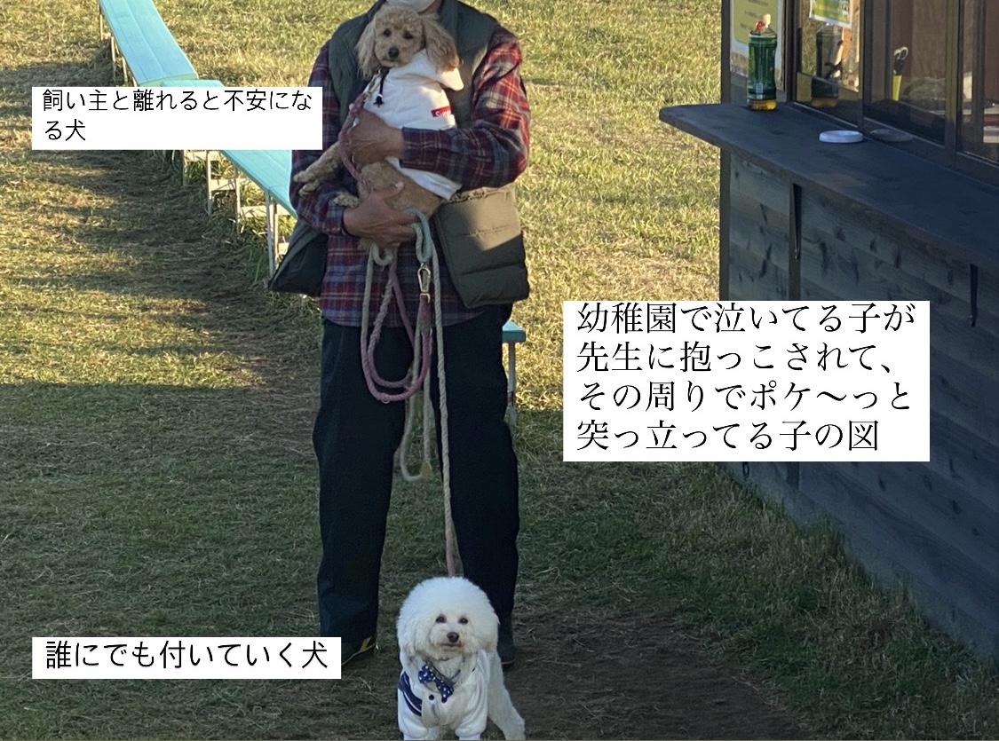 f:id:yuuki_ann:20211126151428j:plain