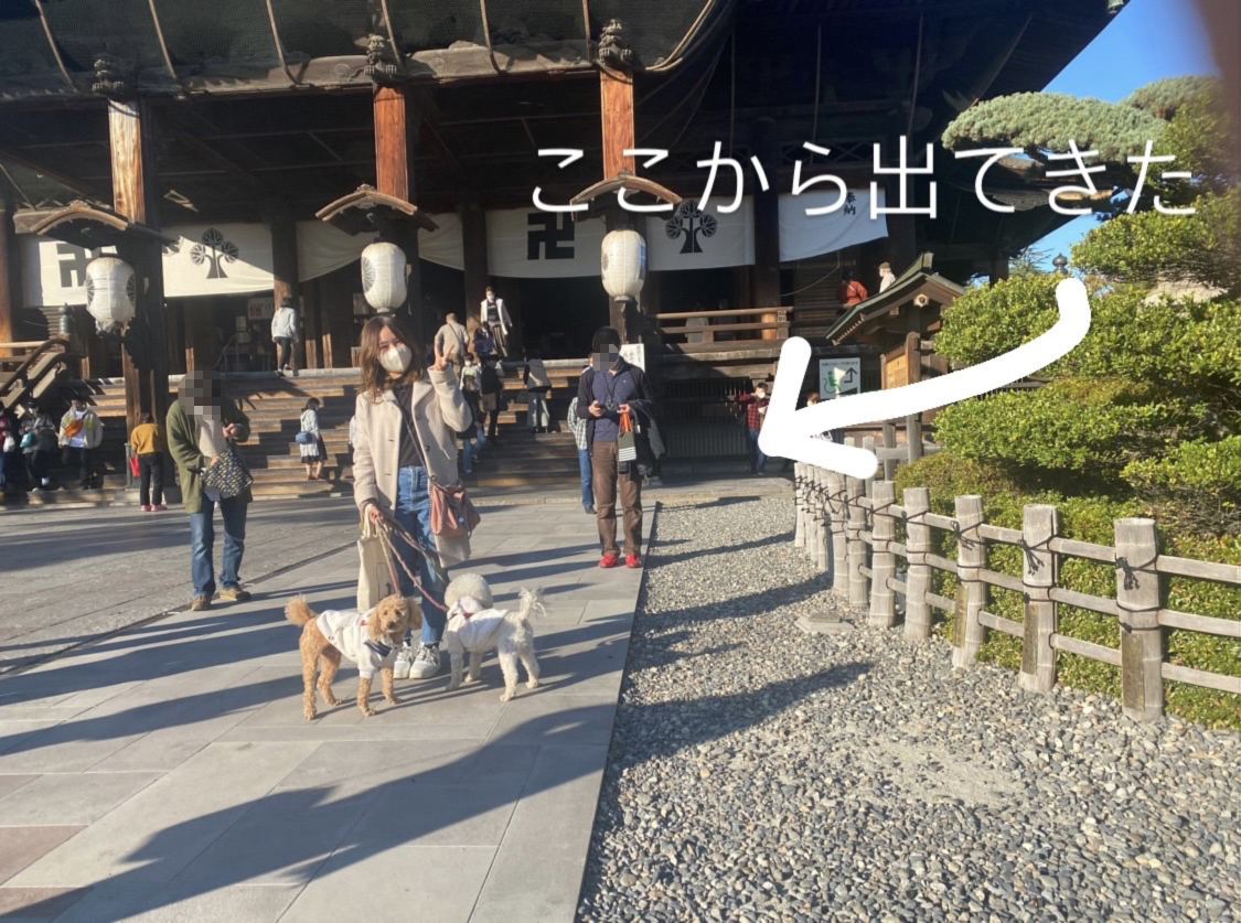 f:id:yuuki_ann:20211202143850j:plain