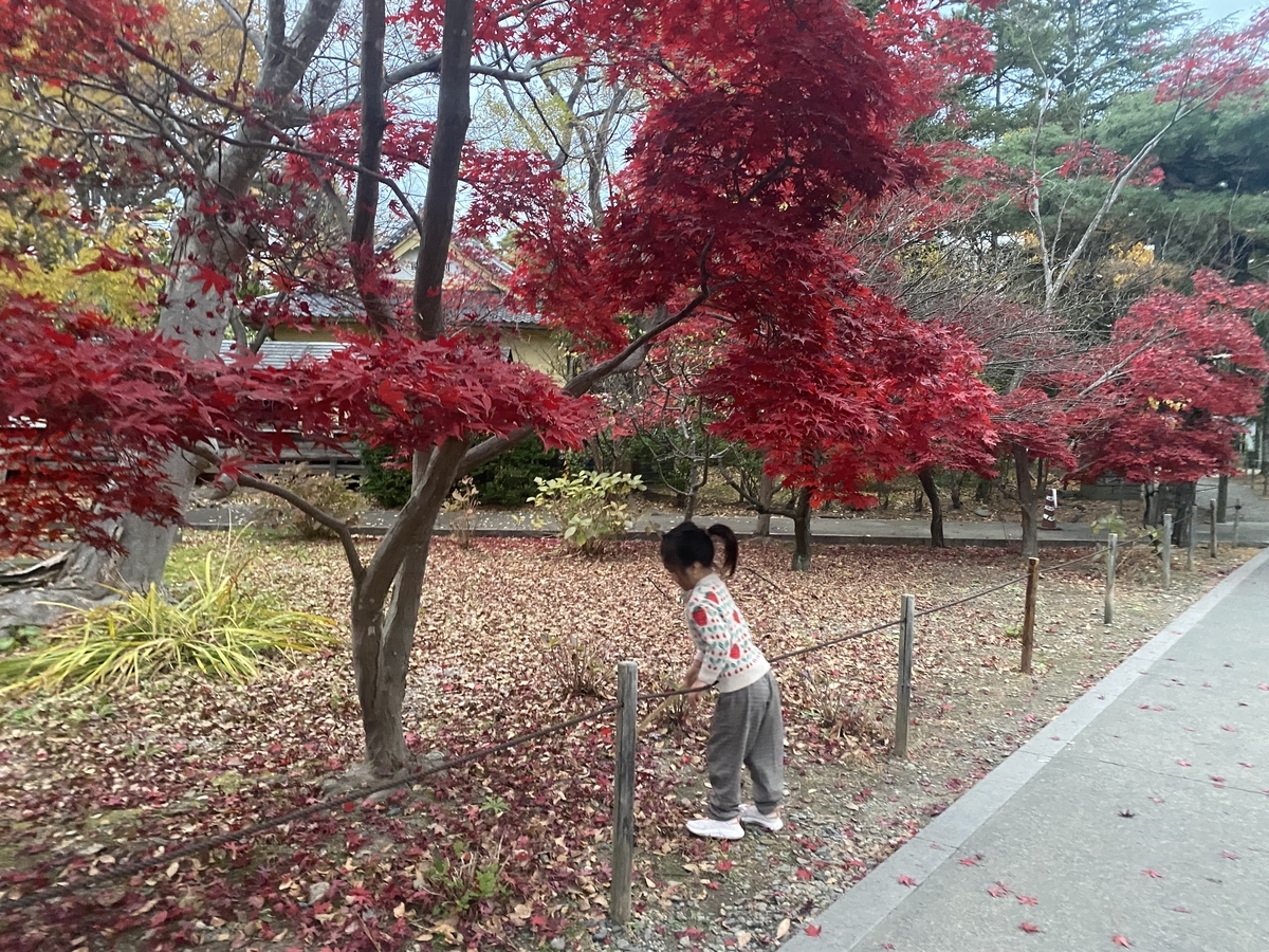 f:id:yuuki_ann:20220119123514j:plain