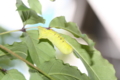 20130502140121