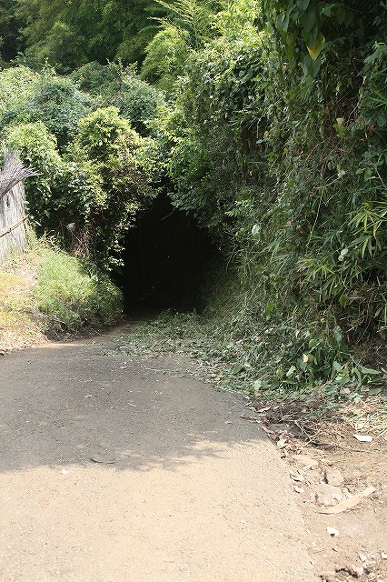[立石谷戸周辺]