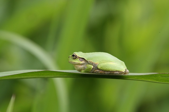 f:id:yuuko1220:20150924141851j:plain