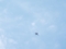 20151009163715