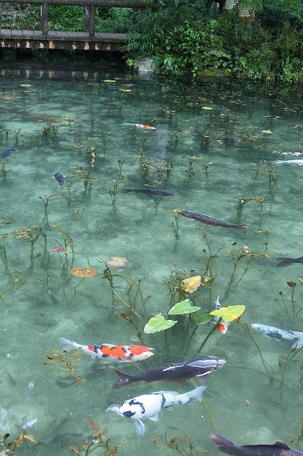 f:id:yuuko1220:20160811214925j:plain f:id:yuuko1220:20160811214925j:plain