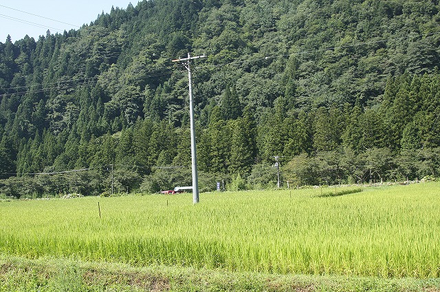 f:id:yuuko1220:20160811214927j:plain f:id:yuuko1220:20160811214927j:plain