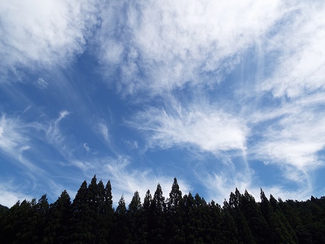 f:id:yuuko1220:20160812160013j:plain f:id:yuuko1220:20160812160013j:plain