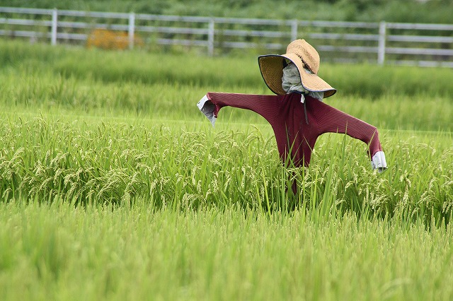 f:id:yuuko1220:20160817210154j:plain f:id:yuuko1220:20160817210154j:plain