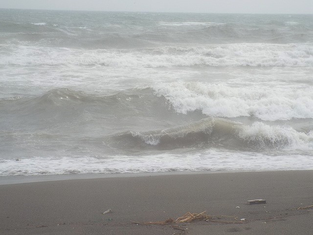 f:id:yuuko1220:20160817210407j:plain f:id:yuuko1220:20160817210407j:plain