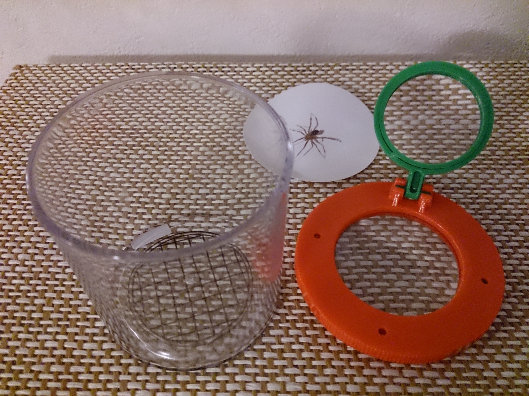 f:id:yuuko1220:20160817213152j:plain f:id:yuuko1220:20160817213152j:plain