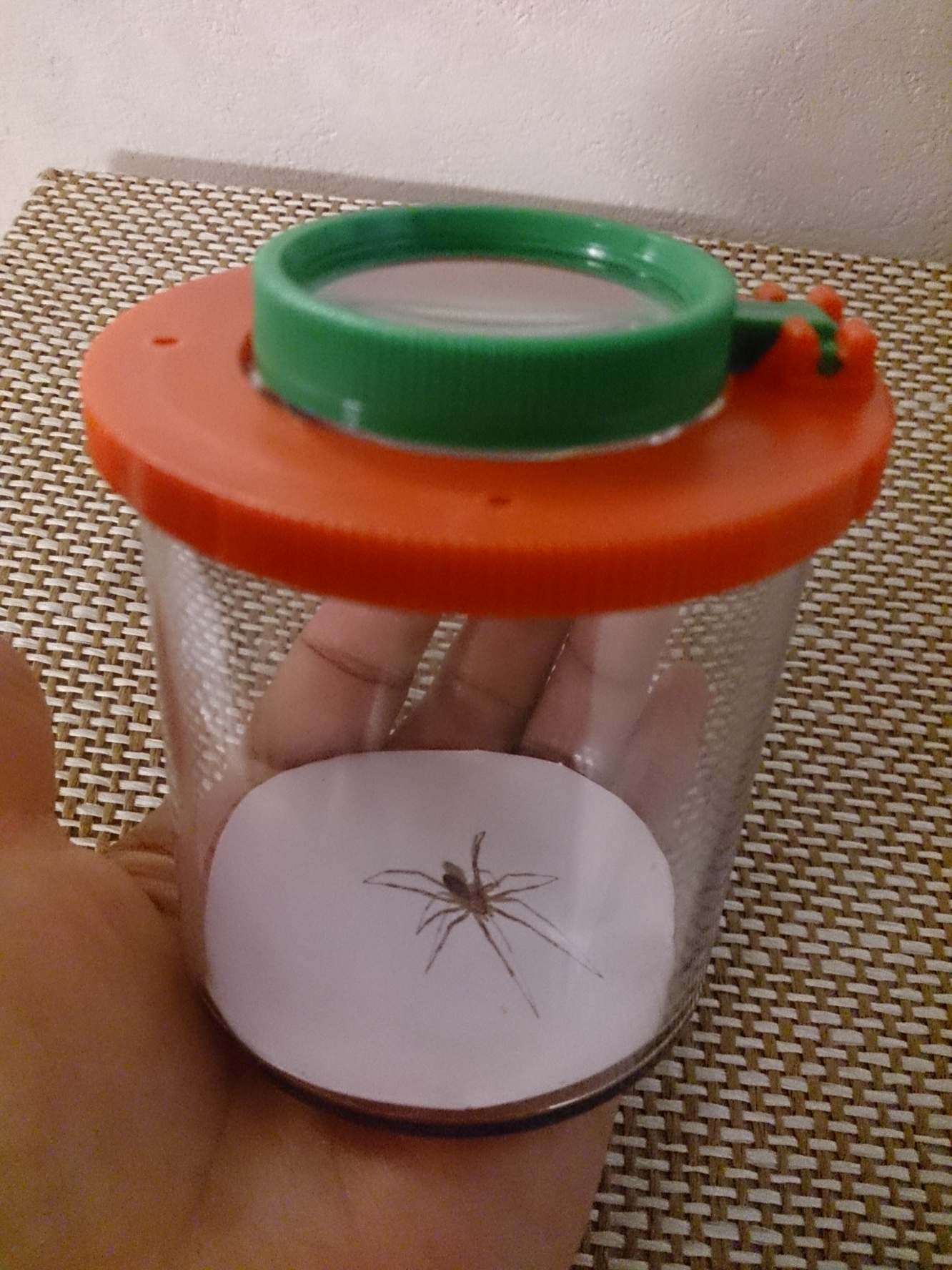 f:id:yuuko1220:20160817213212j:plain