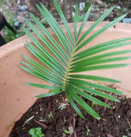 f:id:yuuko1220:20161021164025j:plain f:id:yuuko1220:20161021164025j:plain